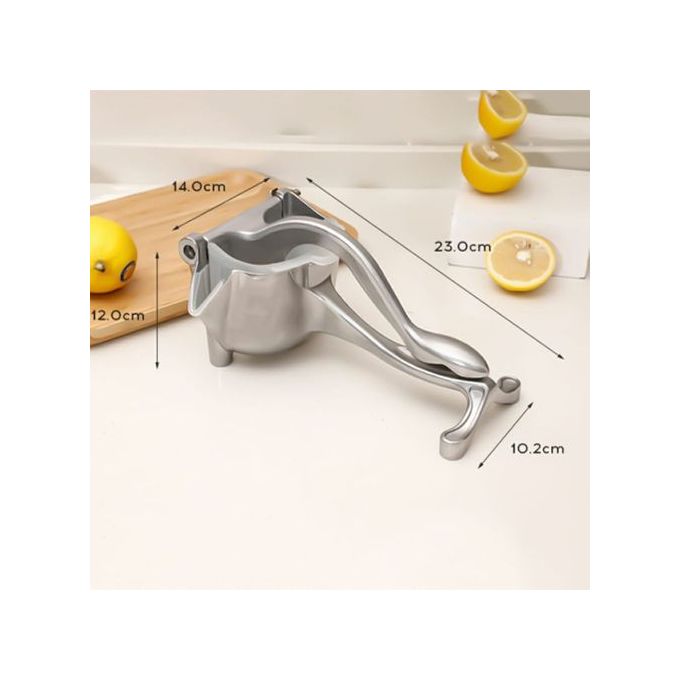 Stainless Steel Fruit Juicer