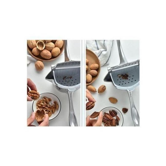 Stainless Steel Fruit Juicer
